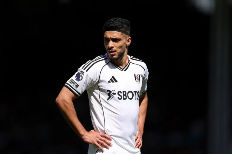Raul Jimenez: Wolves re-sign Mexico striker from Premier League Fulham